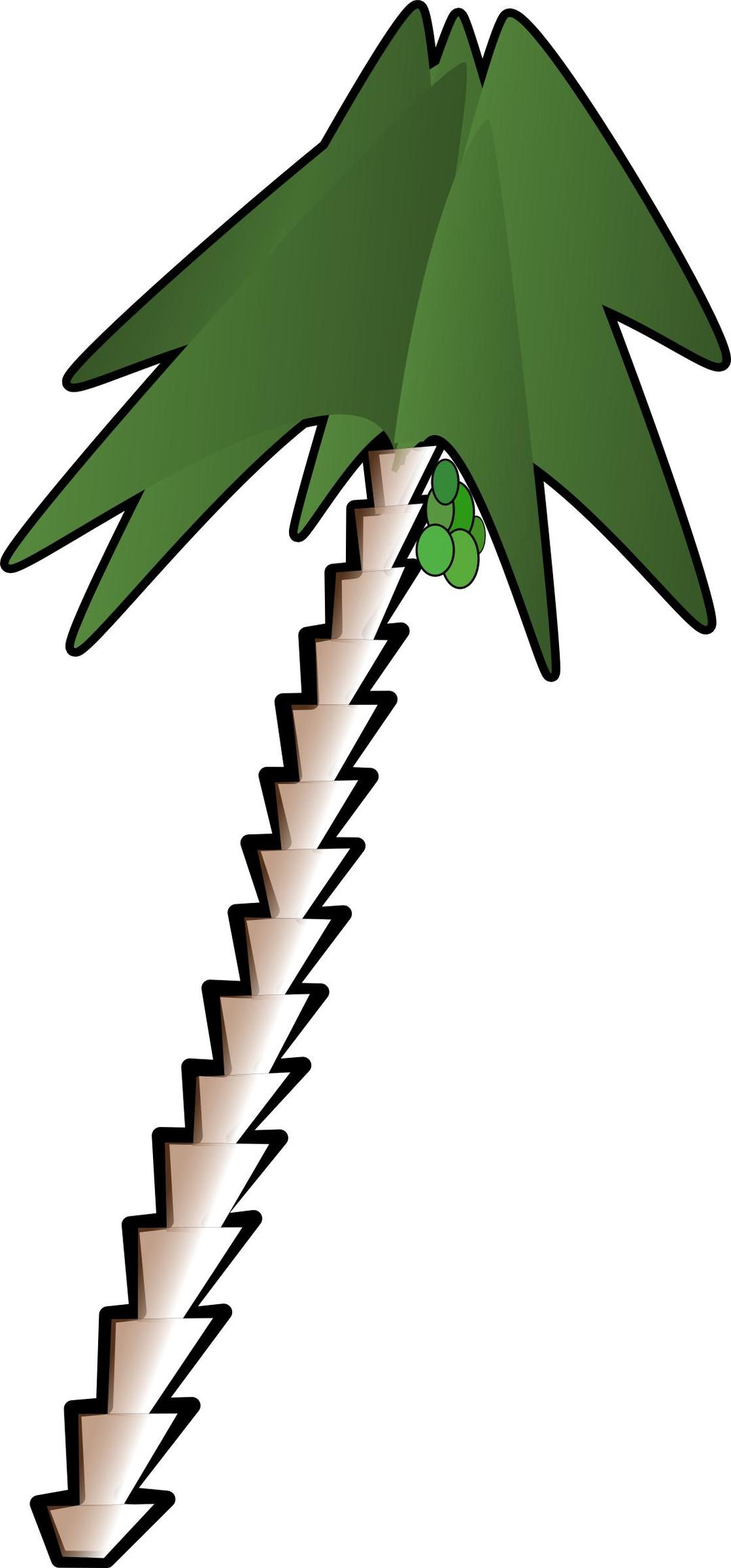 leaning palm tree png transparent