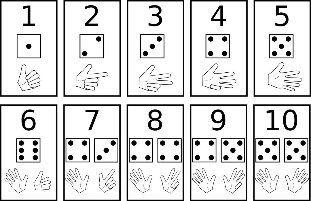 learn to count png transparent