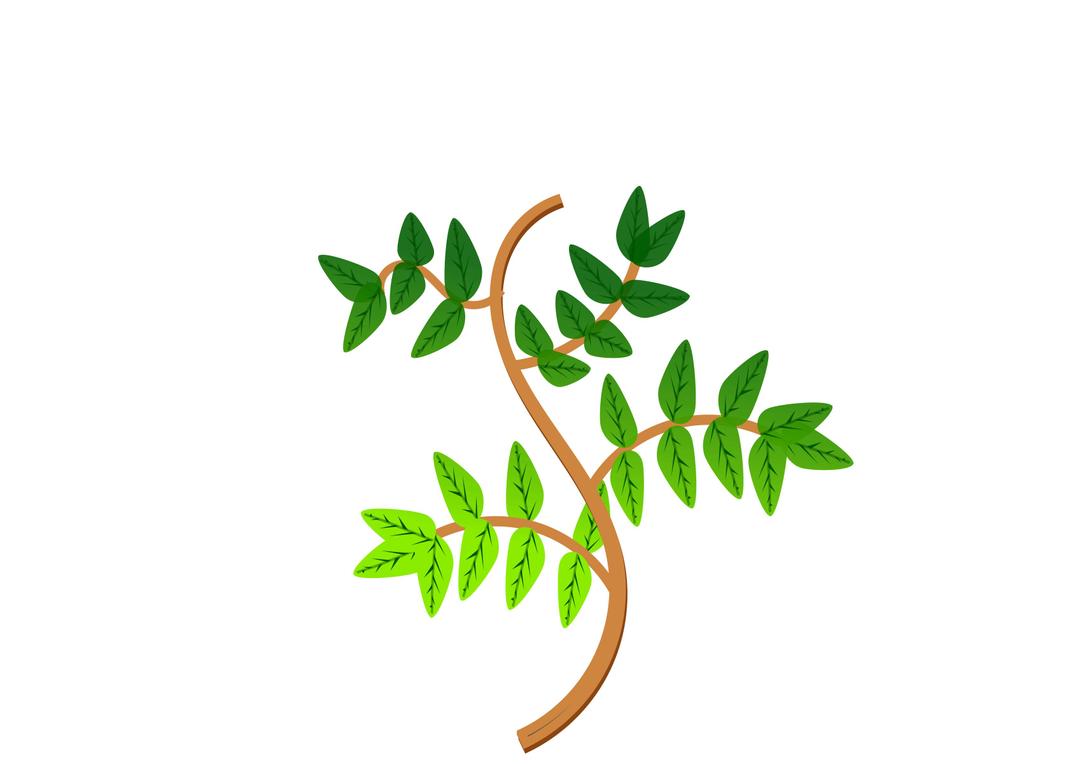 Leaves and branches 2 png transparent