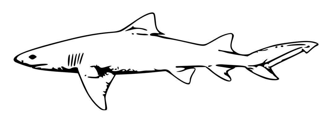 lemon shark png transparent