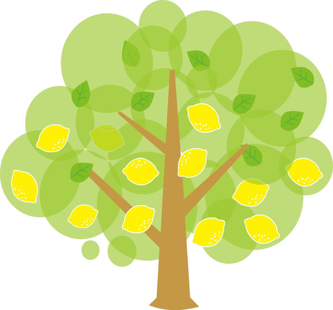 lemon tree  png transparent