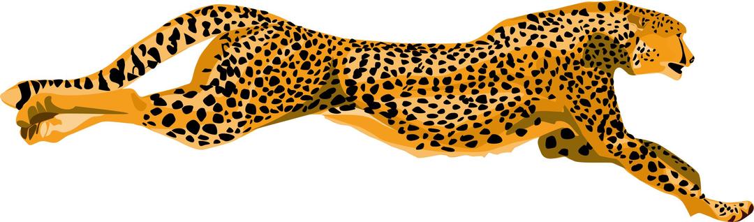 leopard-cheetah png transparent