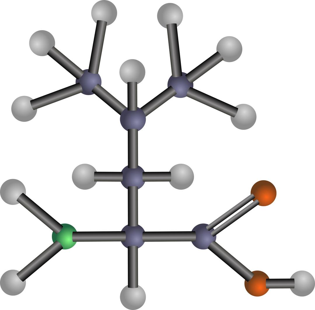 Leucine (amino acid) png transparent