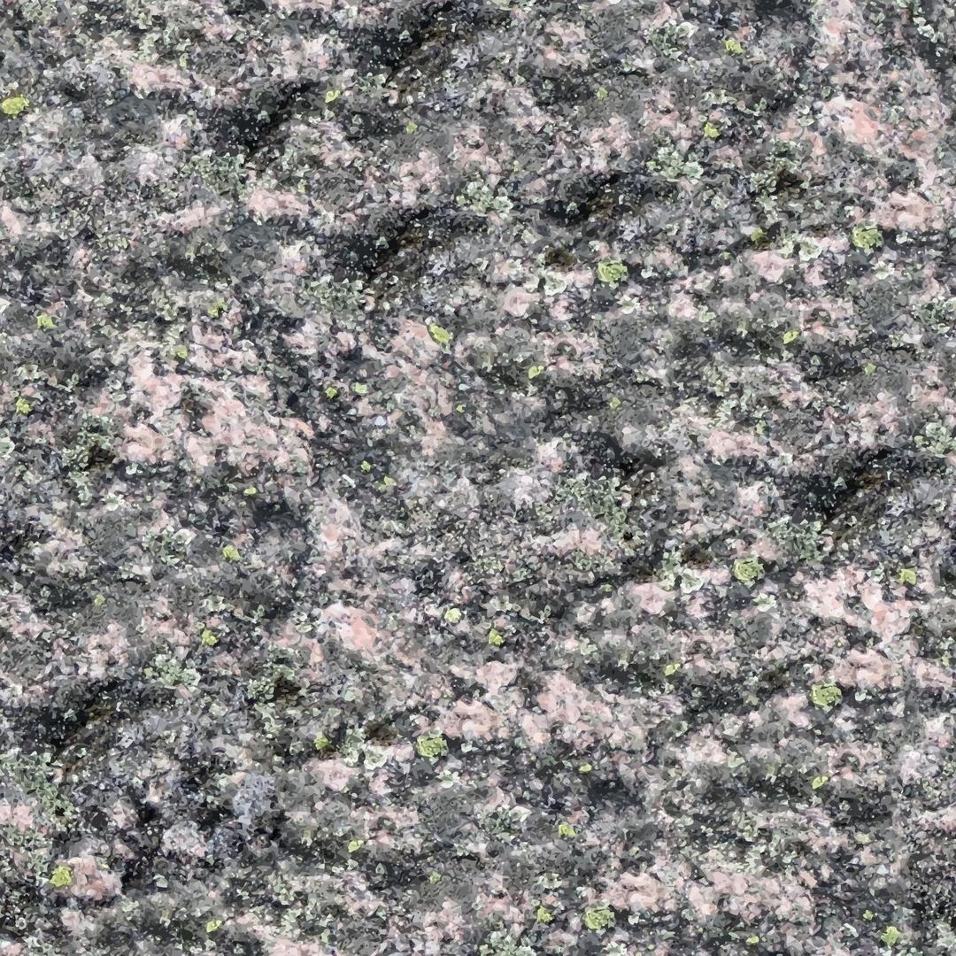 Lichen covered stone 2 png transparent
