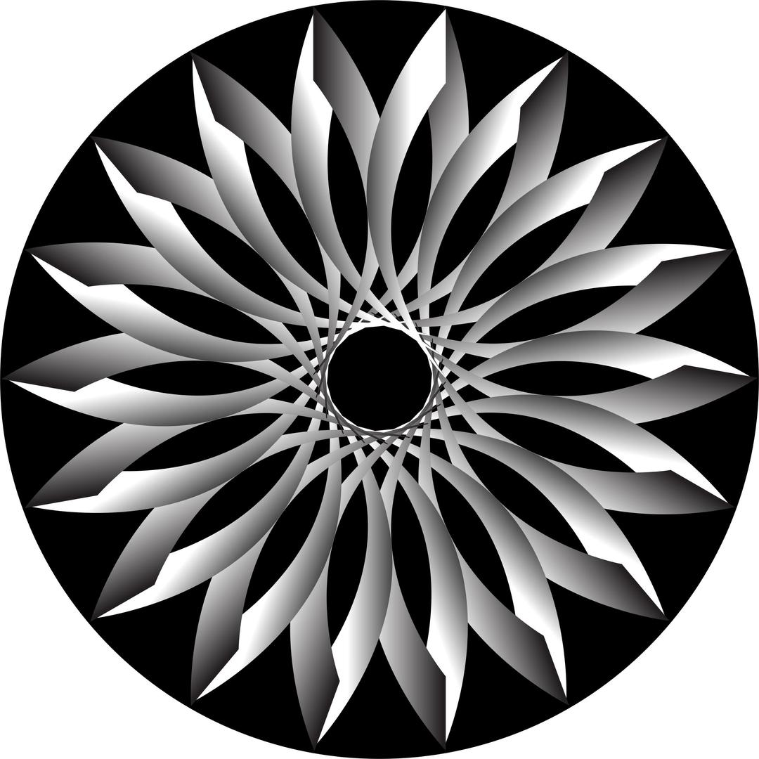 Light And Shadow Lotus 2 png transparent