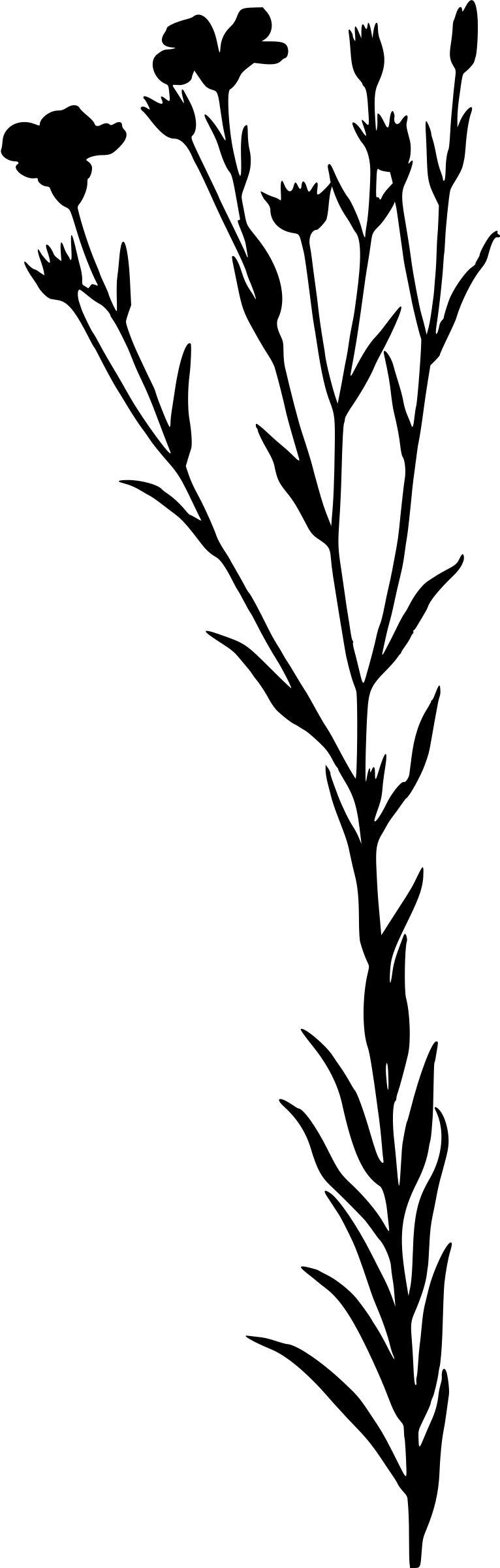 Linseed (silhouette) png transparent