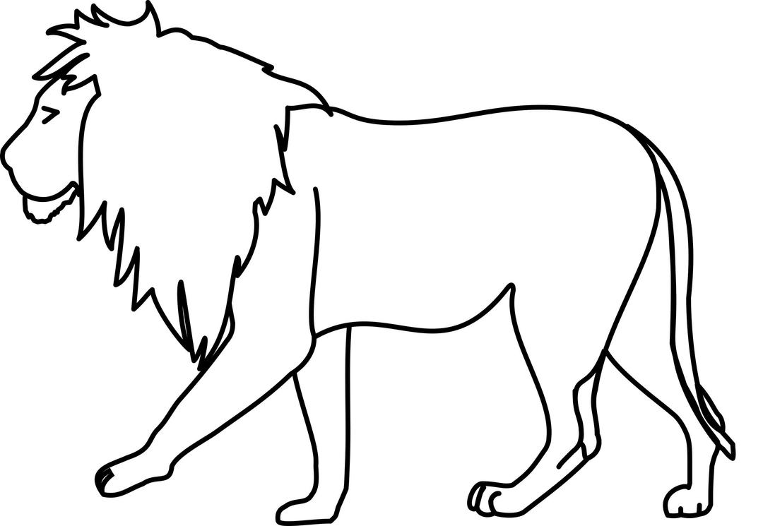 Lion Line Art png transparent