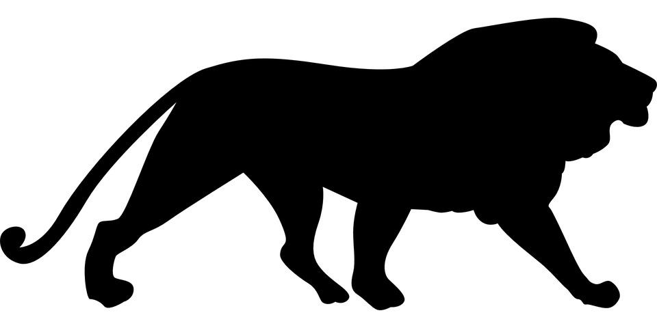 Lion Silhouette png transparent