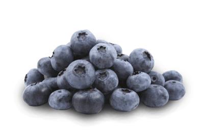 Little Stack Of Blueberries png transparent