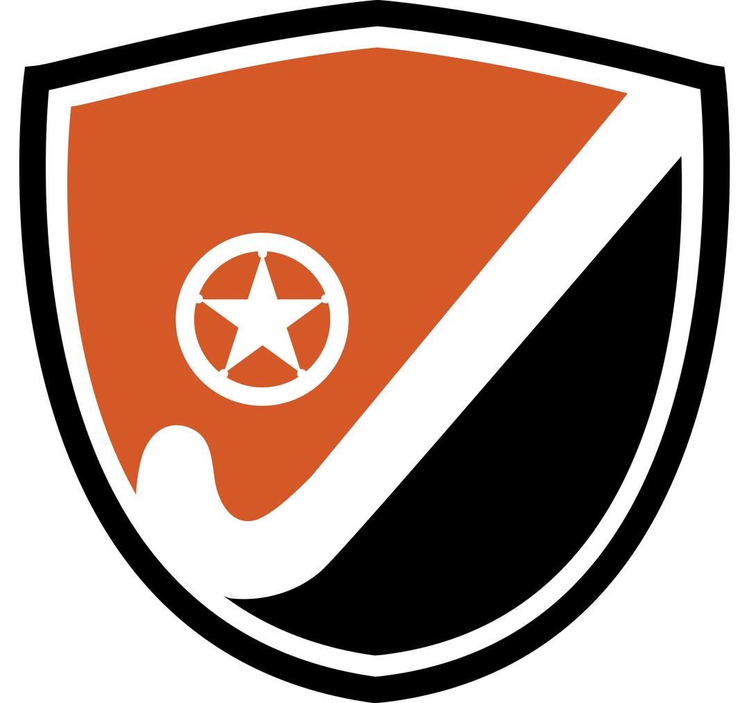 Lone Star Field Hockey Logo png transparent