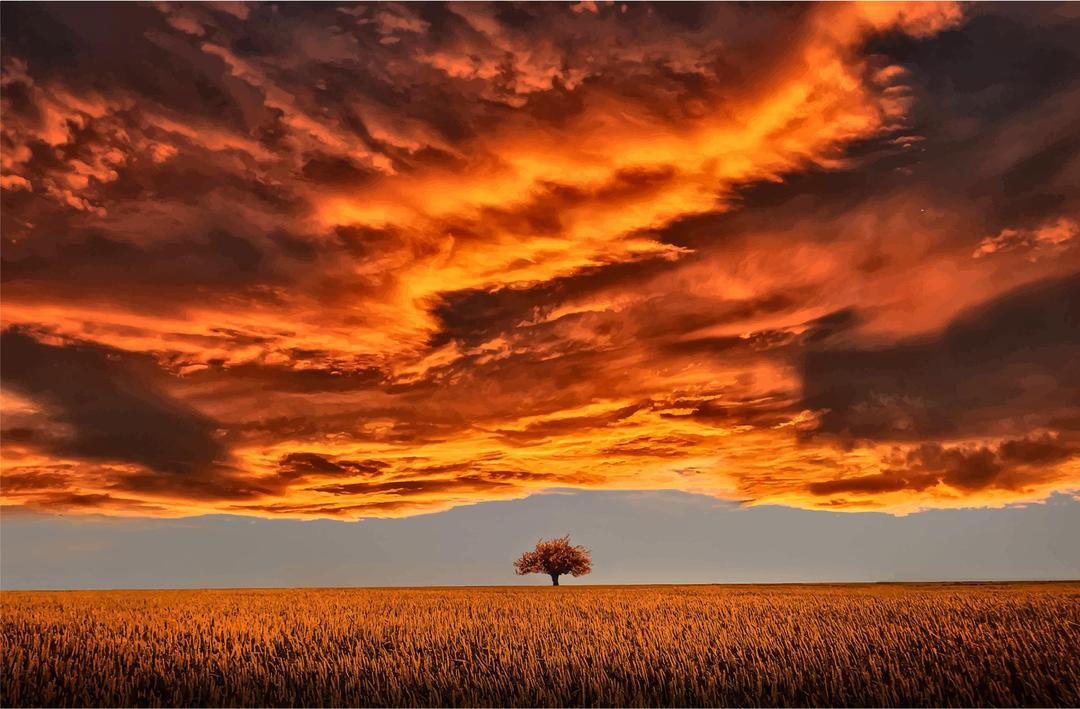 Lone Tree Under A Scorched Sky png transparent