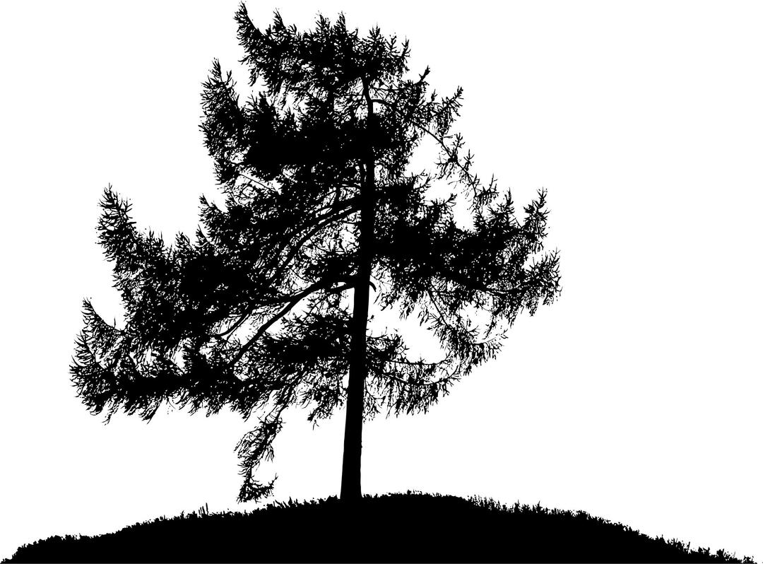 Lonely Tree Silhouette png transparent