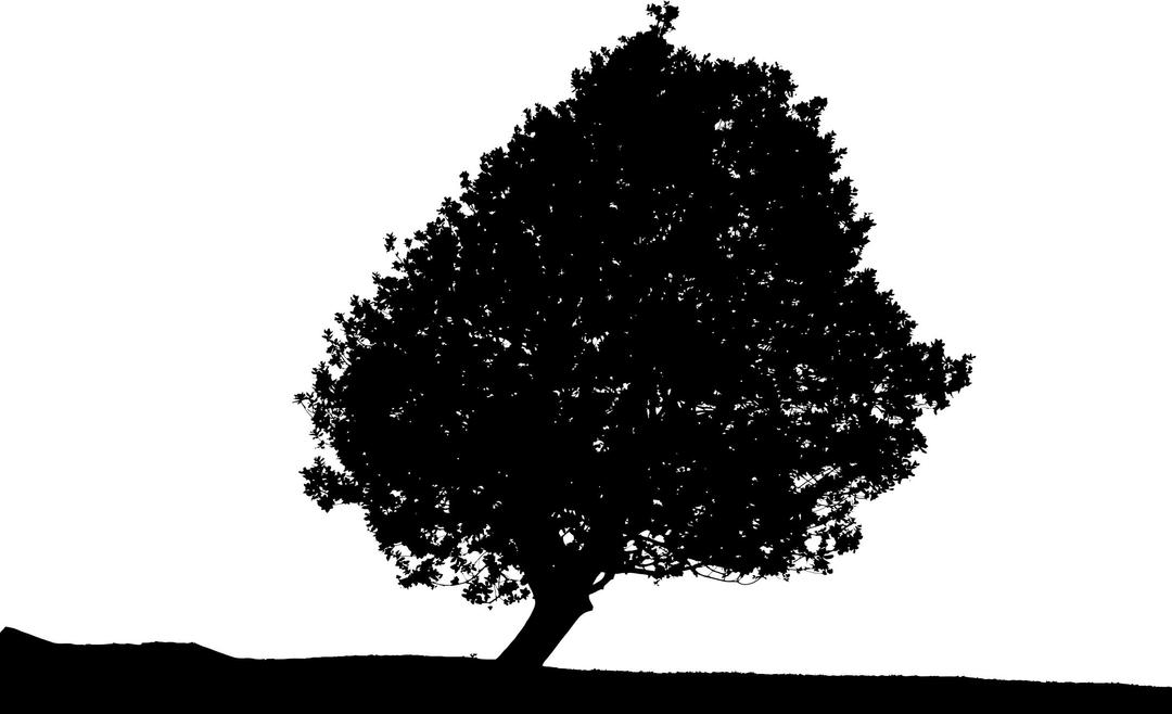 Lonely Tree Silhouette 2 png transparent