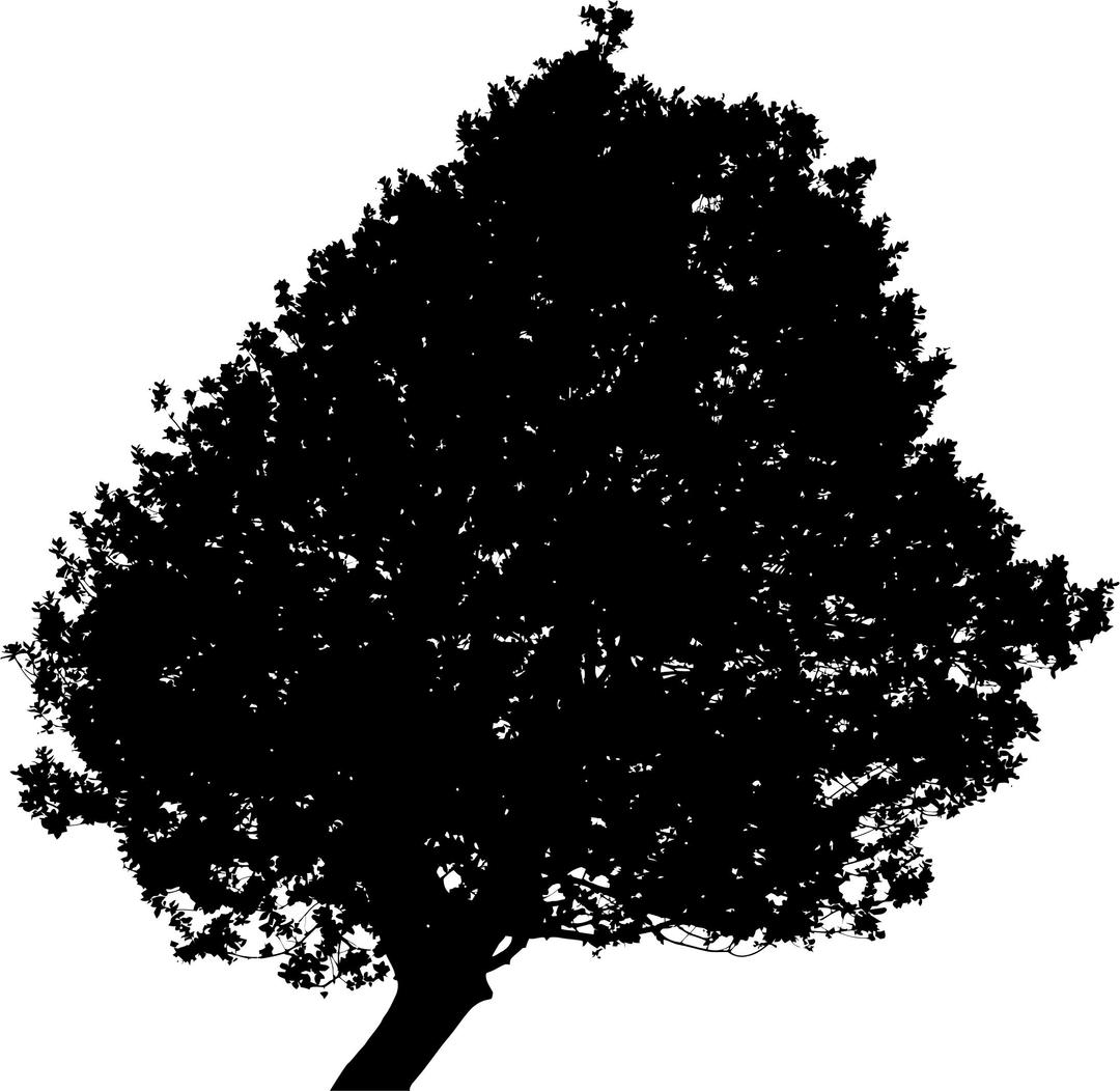 Lonely Tree Silhouette 2 Minus Ground png transparent
