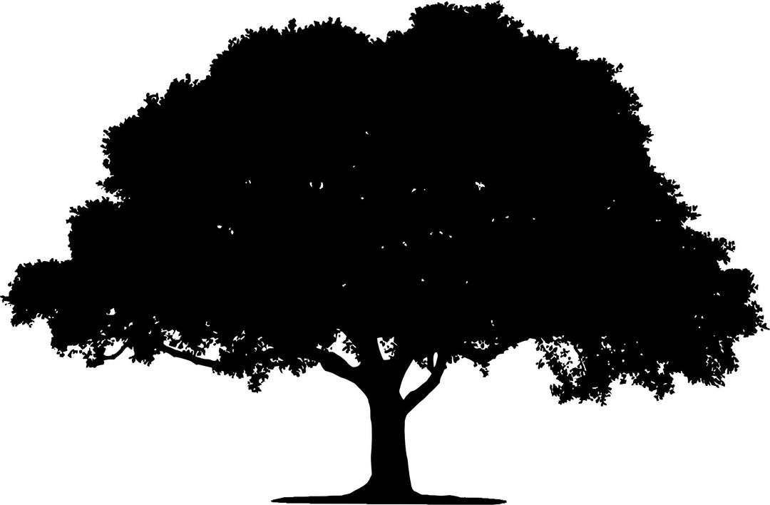 Lonely Tree Silhouette 3 png transparent