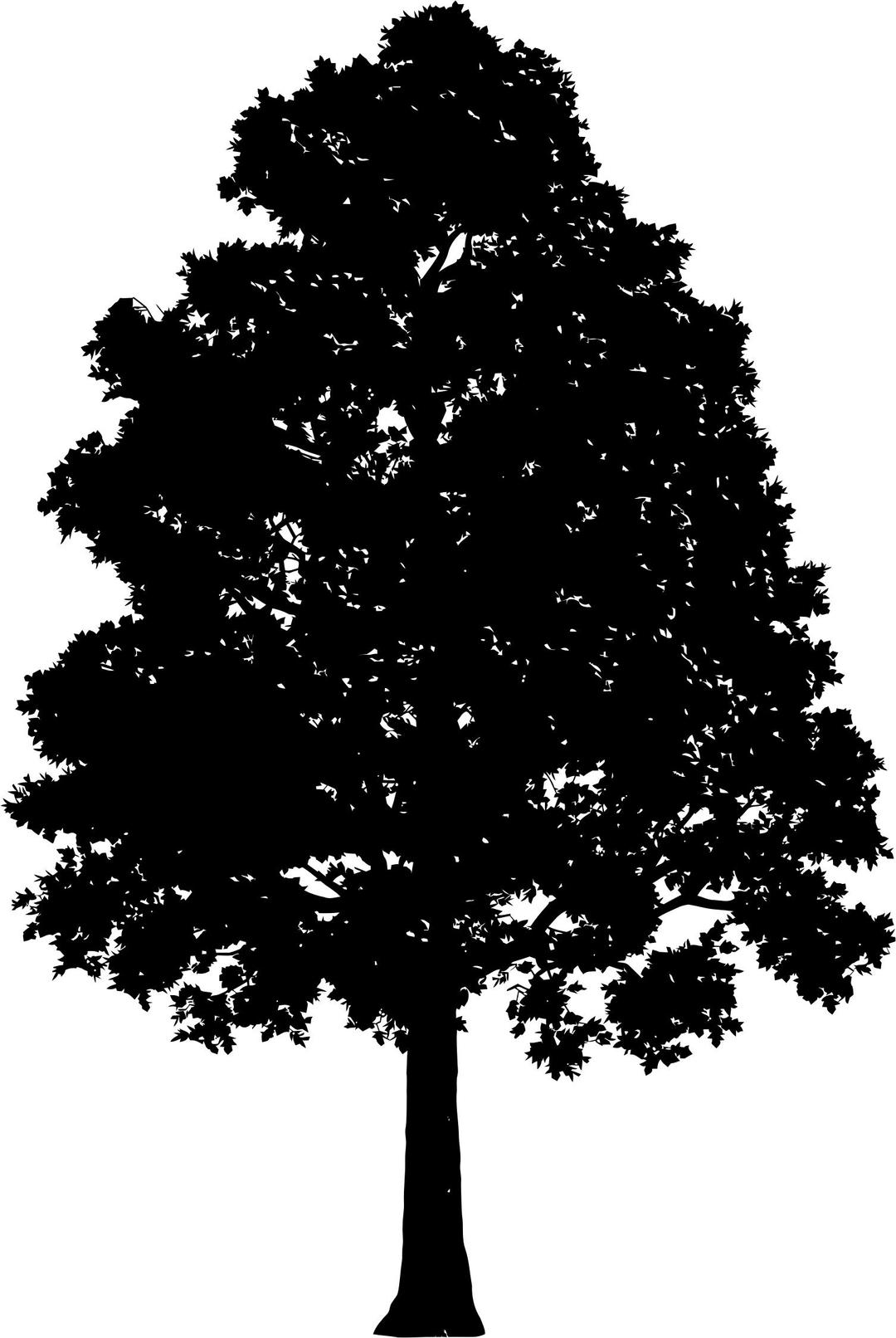 Lonely Tree Silhouette 4 png transparent