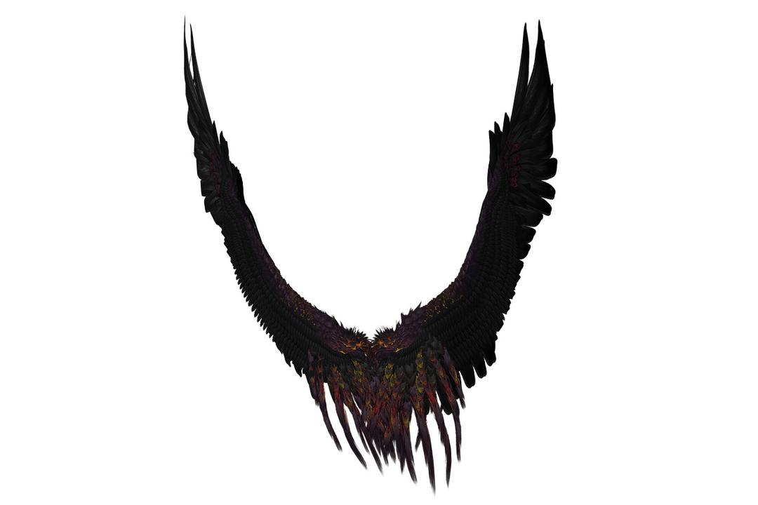 Long Black and Purple Wings png transparent