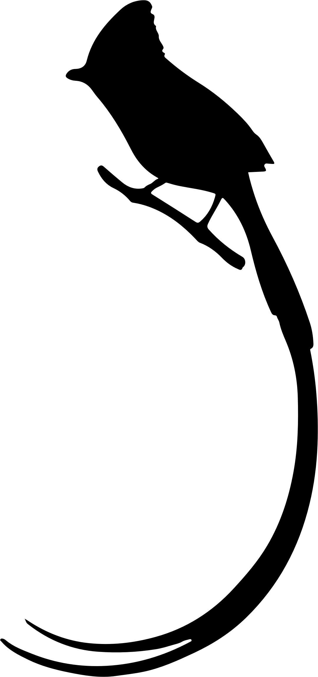 Long Tailed Bird Silhouette png transparent