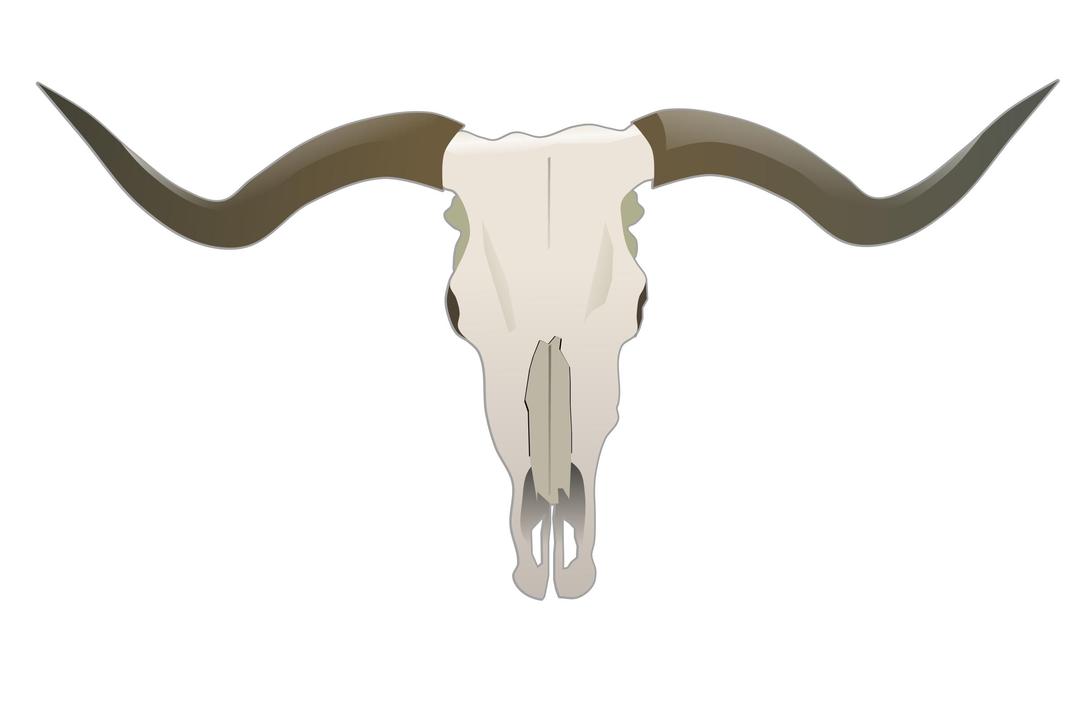 Longhorn Skull png transparent