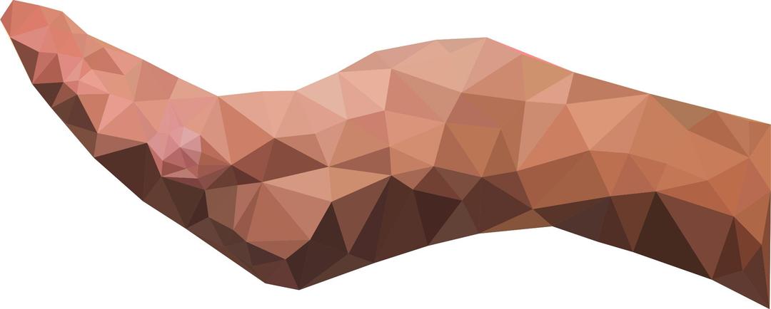 Low Poly Cupping Hand Horizontal png transparent