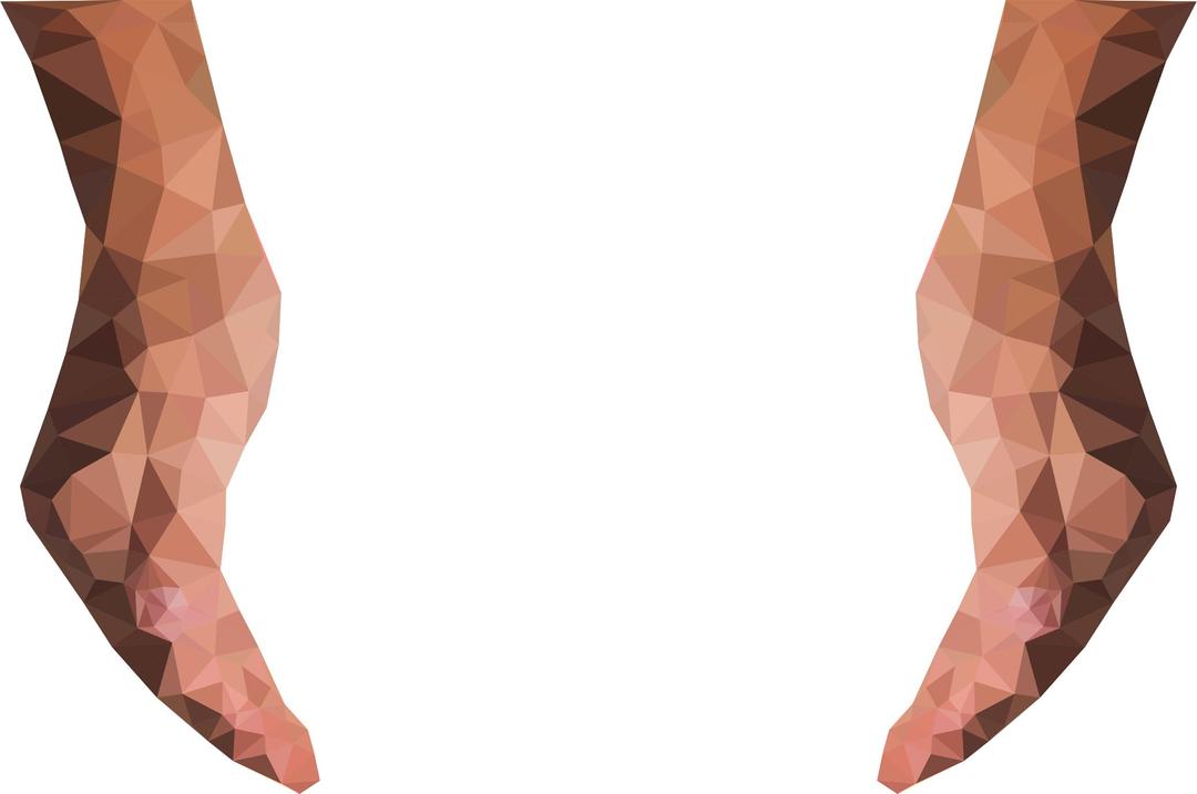 Low Poly Cupping Hands png transparent