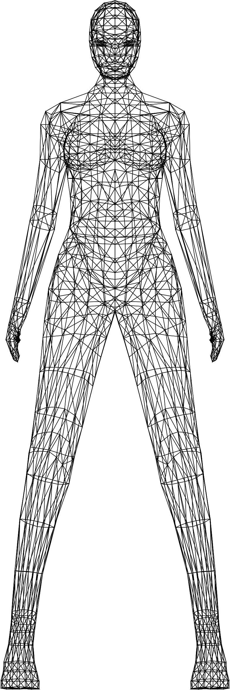 Low Poly Female Body Wireframe png transparent