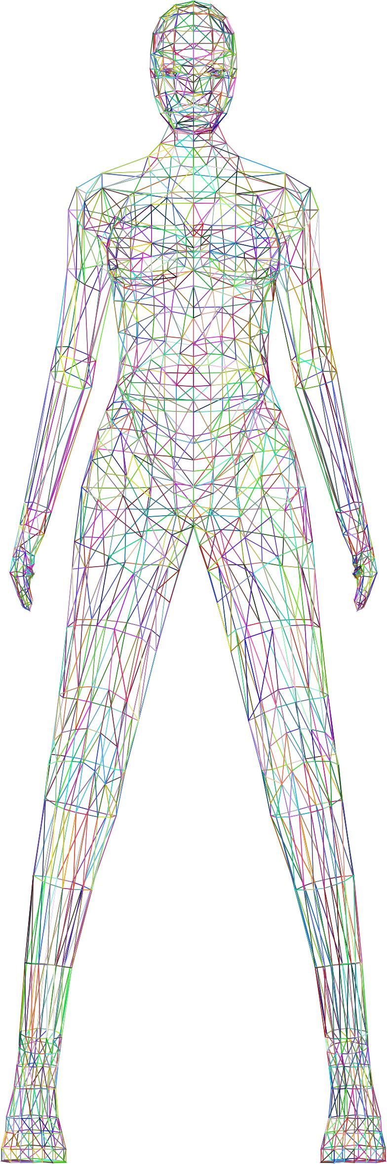 Low Poly Female Body Wireframe Prismatic png transparent