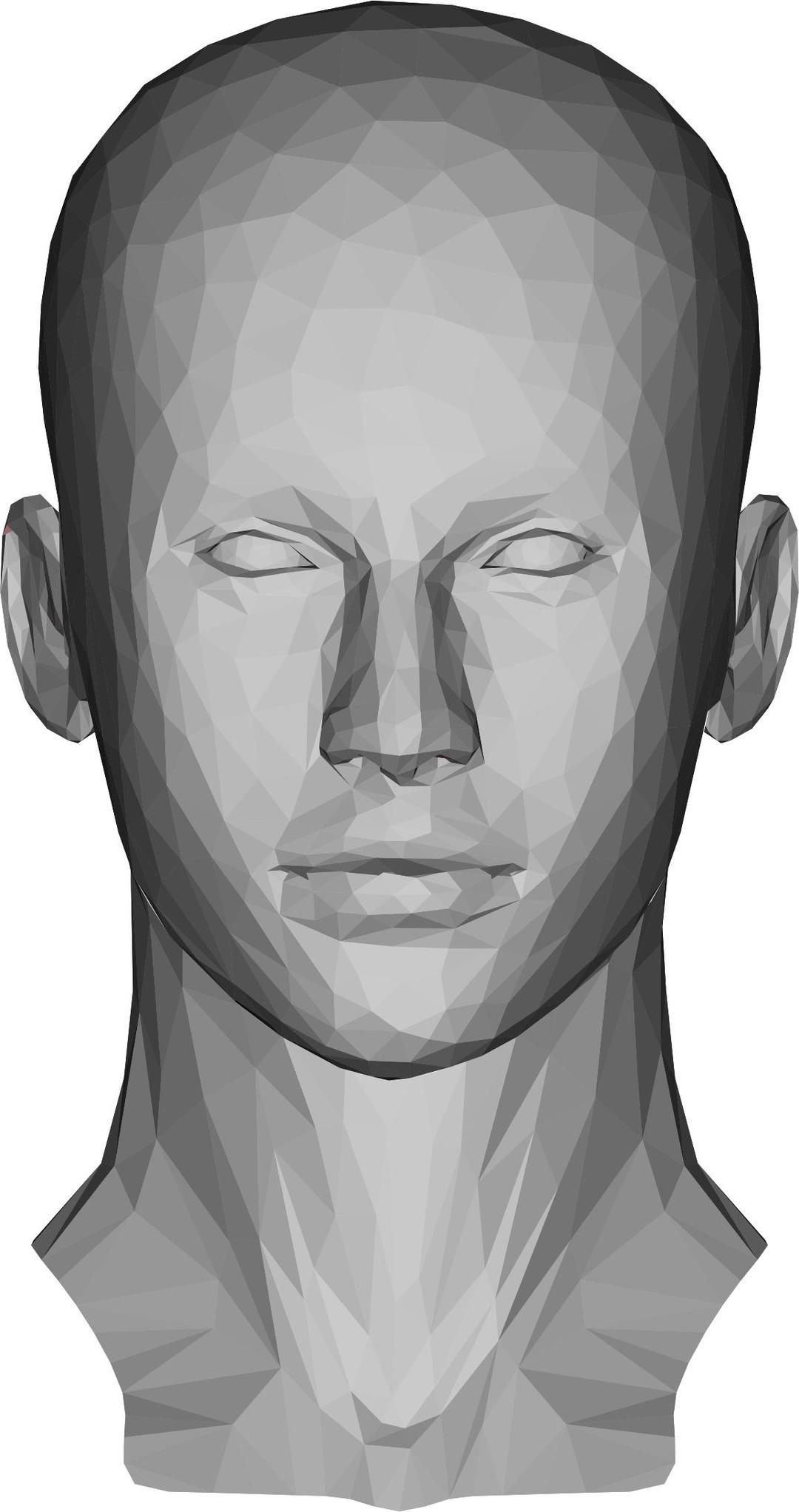 Low Poly Female Head png transparent