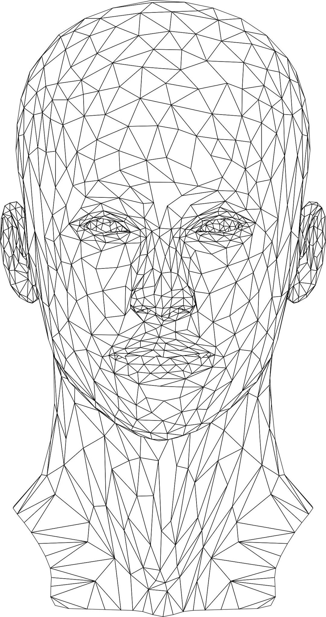 Low Poly Female Head Wireframe png transparent