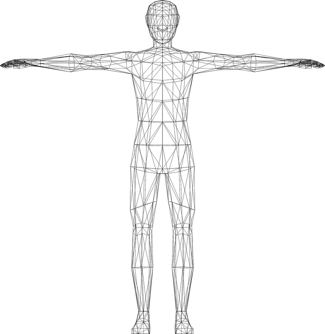 Low Poly Human Male Wireframe png transparent