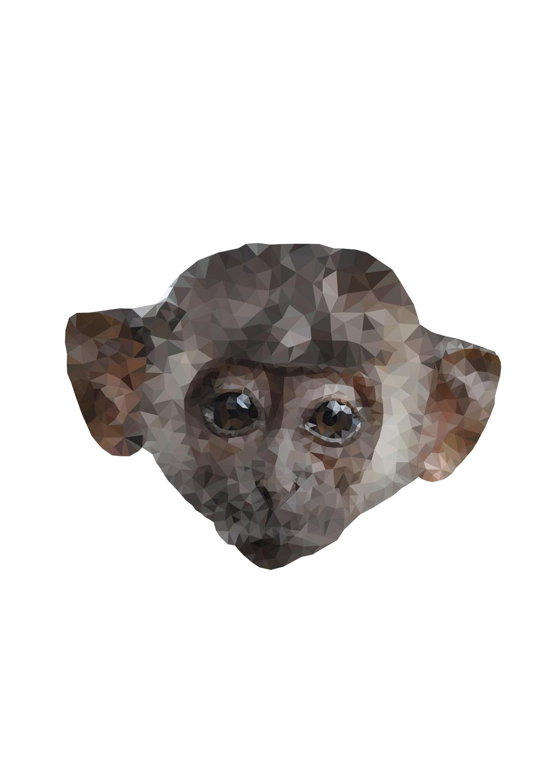 Low Poly Monkey png transparent
