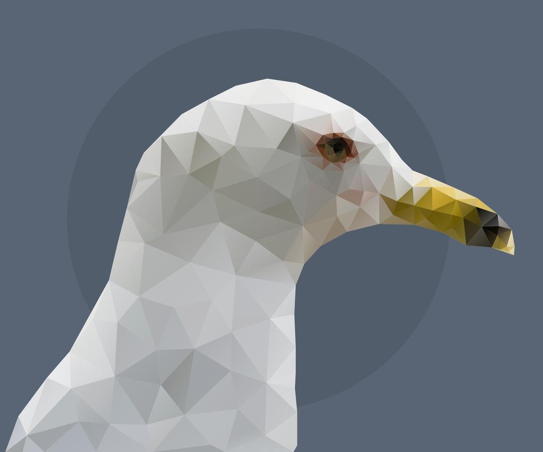 Low Poly Sea Gull png transparent