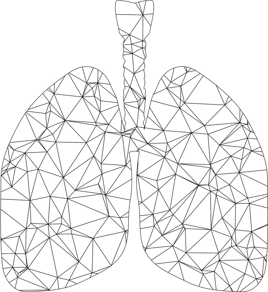 Low Poly Wireframe Lungs Silhouette png transparent