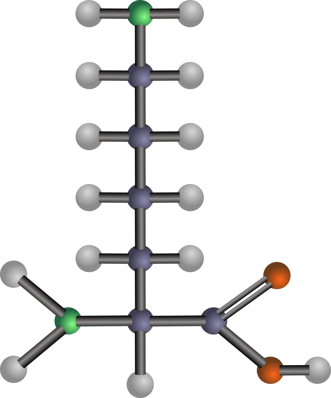 Lysine (amino acid) png transparent