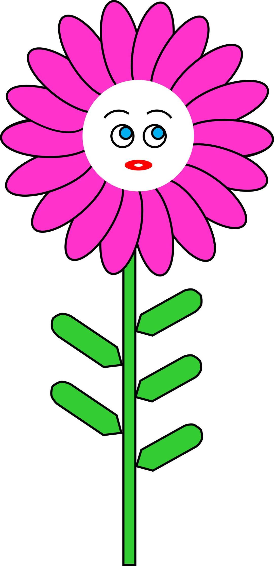 Magenta Flower with Face png transparent