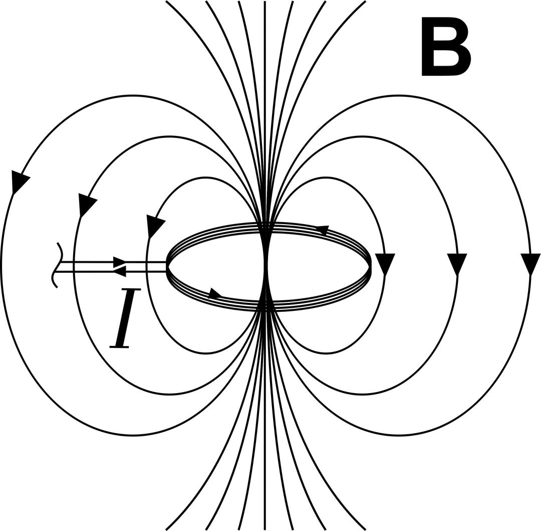 Magnetic Field due to Current Loop png transparent