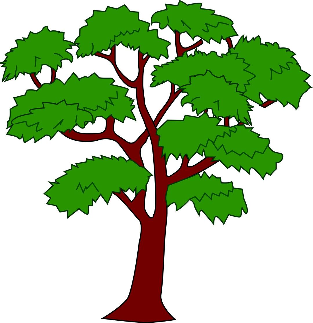 Mahogany tree png transparent