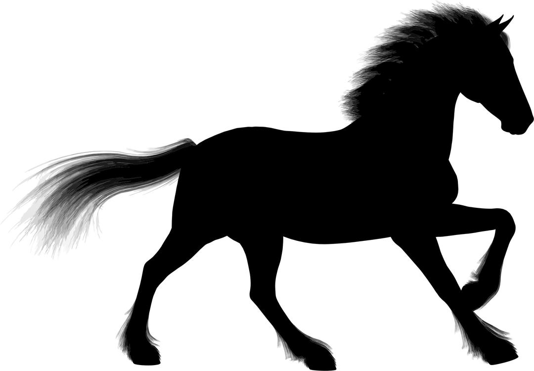Majestic Stallion Silhouette png transparent