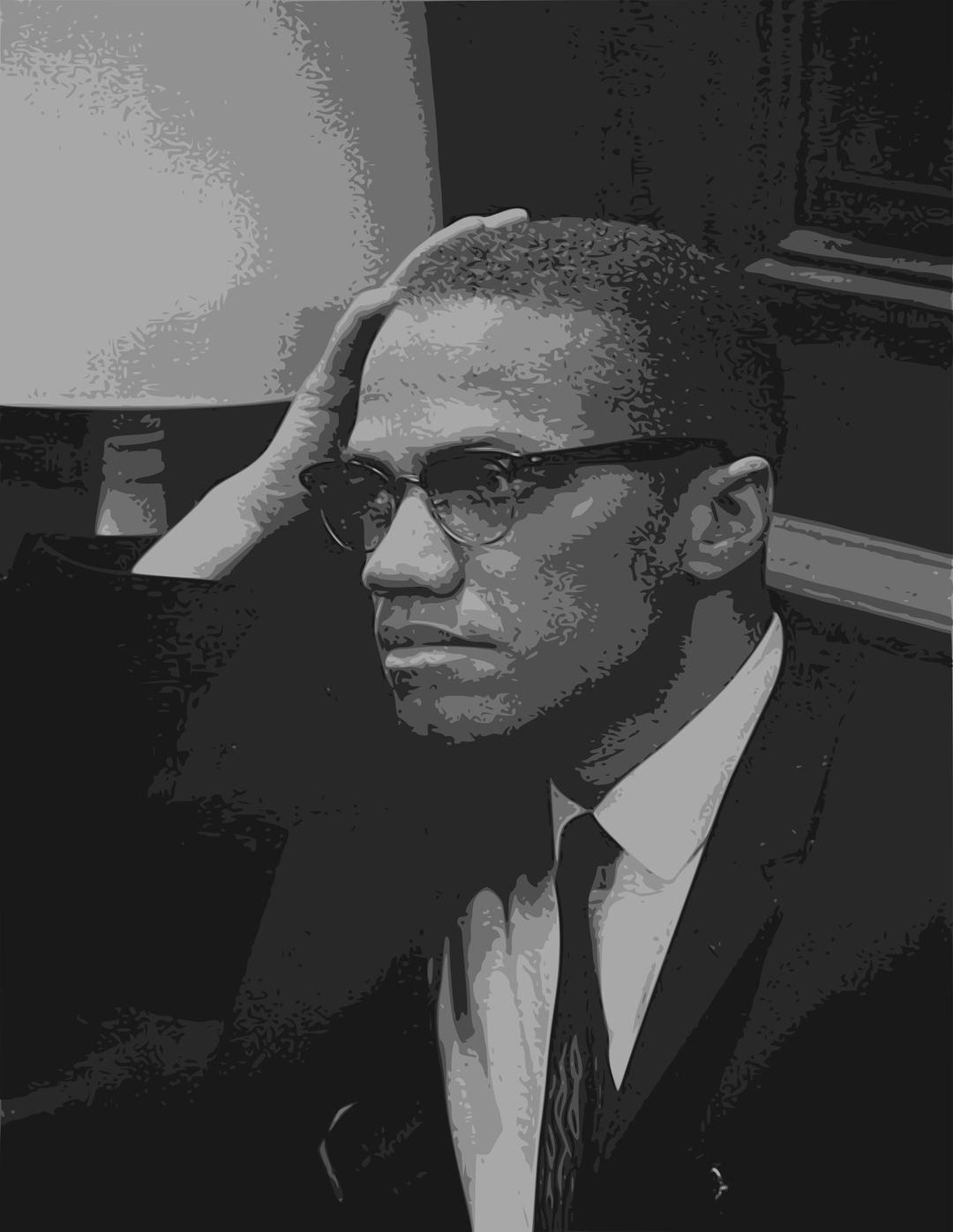 Malcolm X - Face png transparent