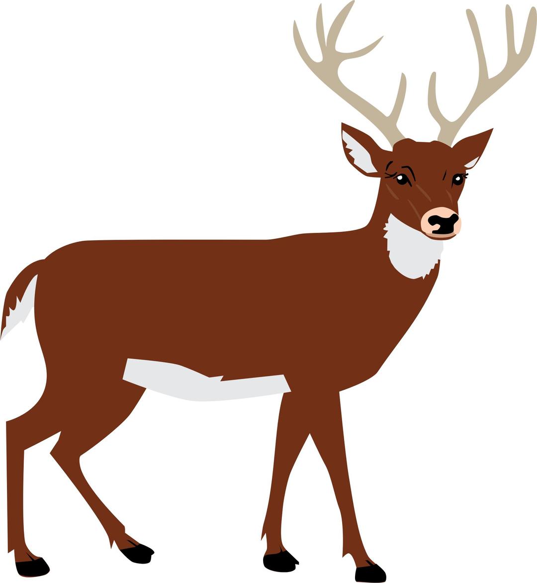 Male Deer png transparent