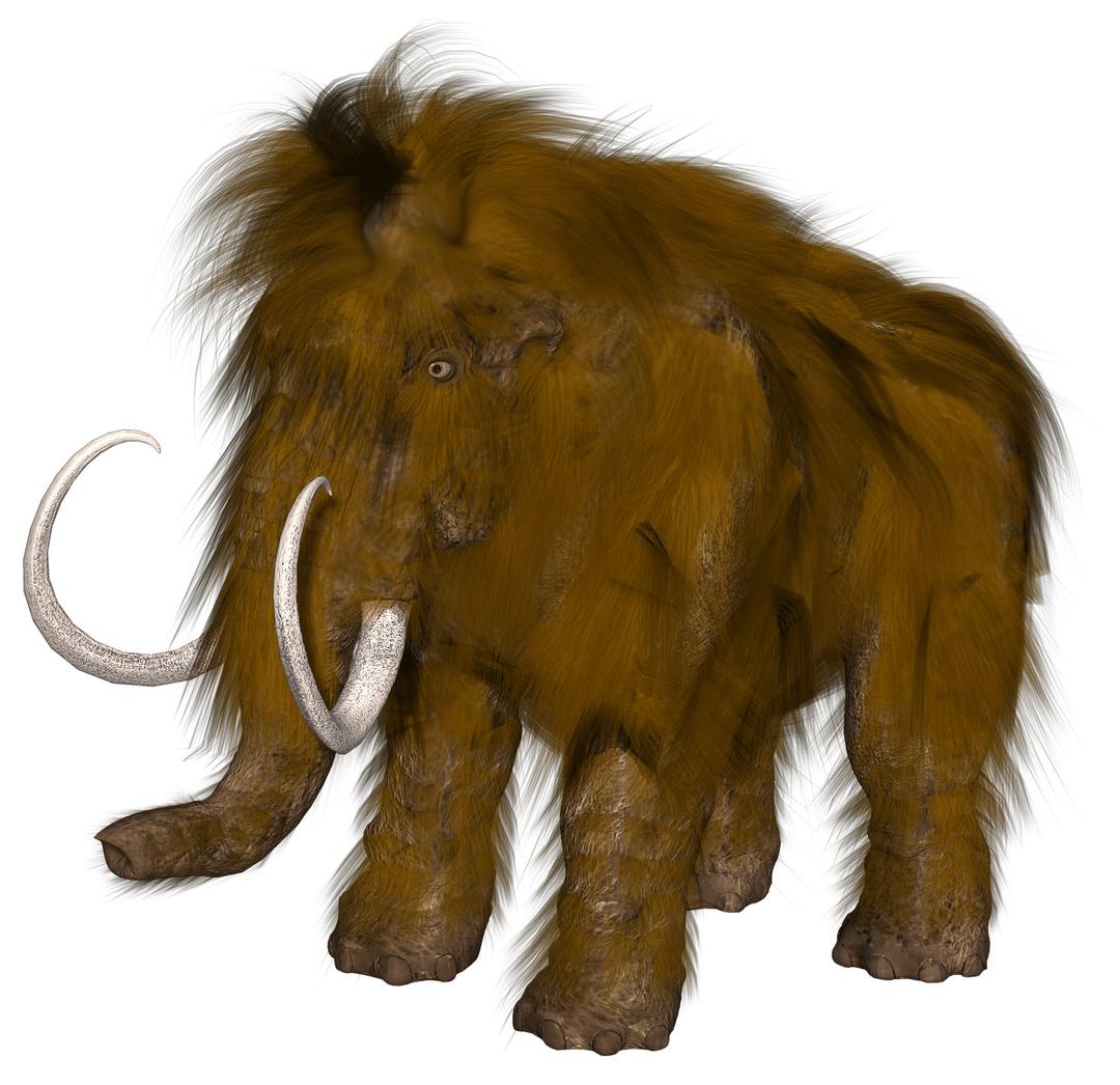 Mammoth Computer Drawing png transparent