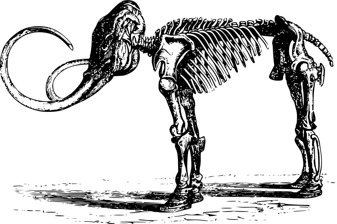 Mammoth skeleton png transparent