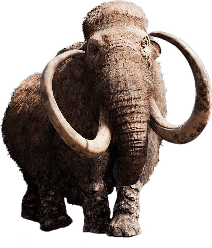 Mammoth With Giant Tusks png transparent