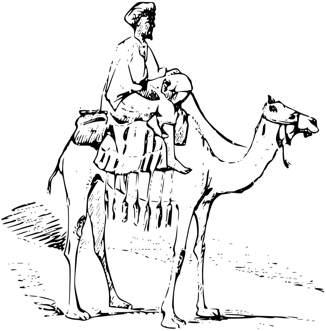 Man on camel png transparent