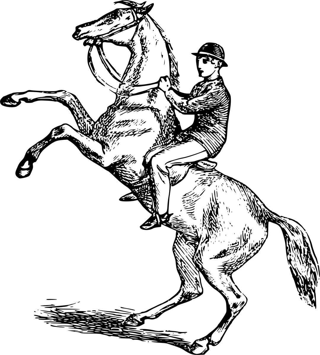 Man riding a rearing horse png transparent