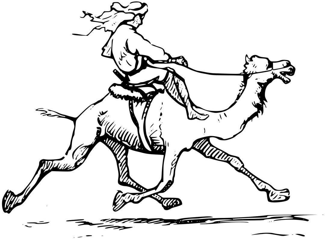 Man riding camel png transparent