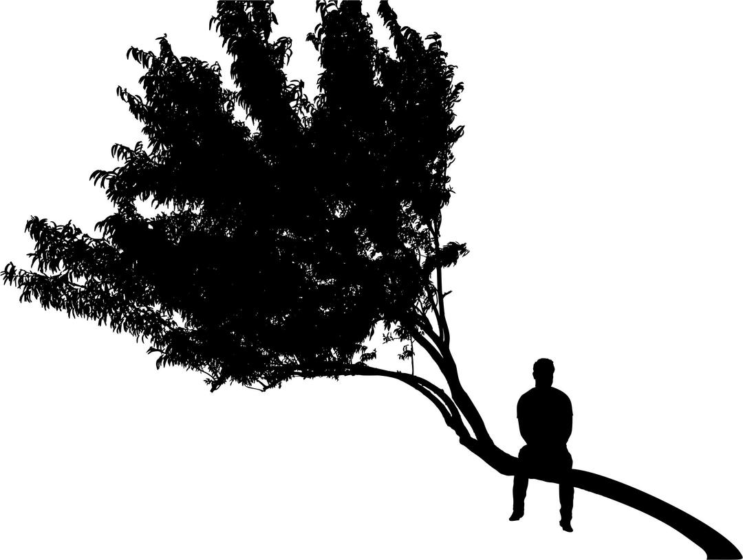 Man Sitting On Tree Silhouette png transparent