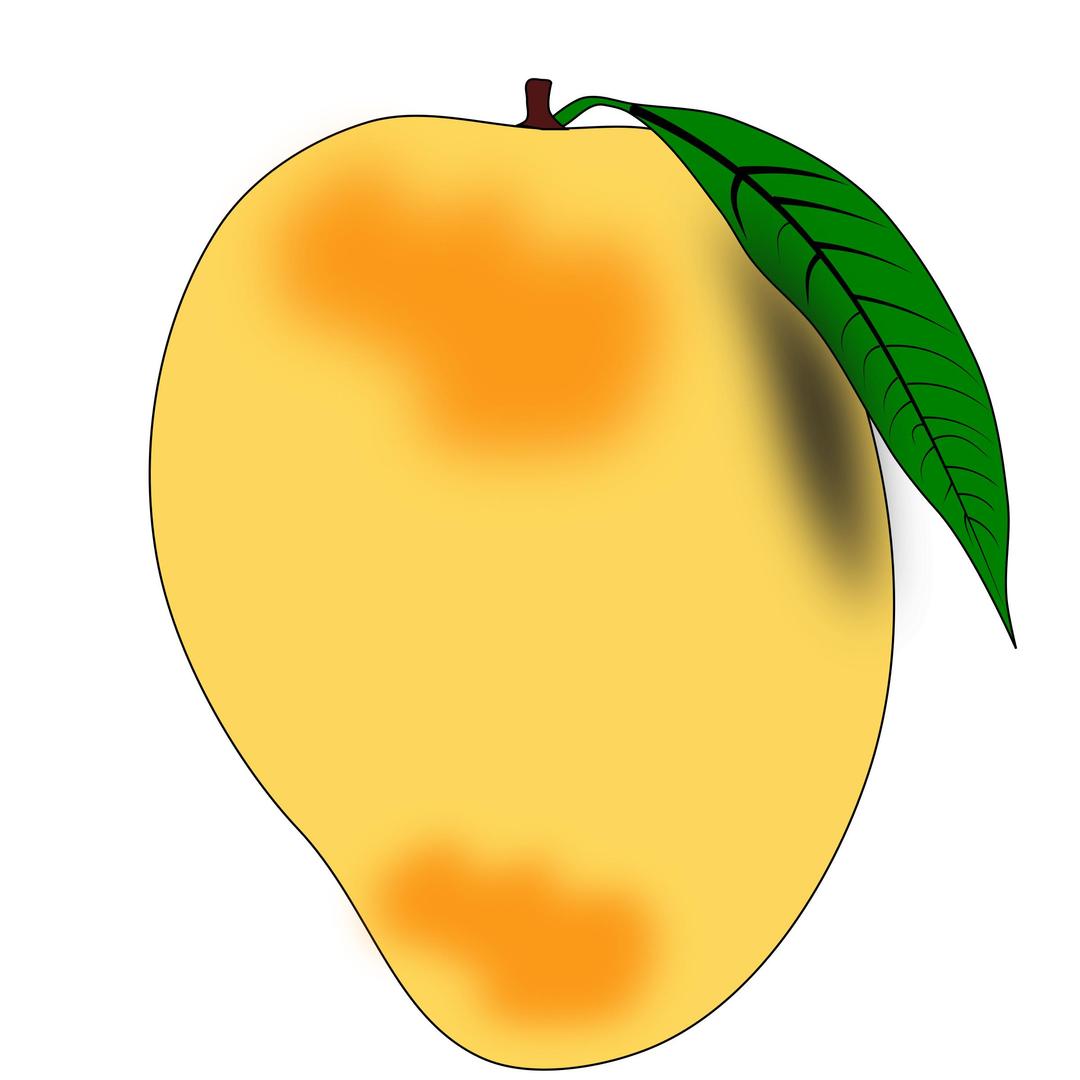 mango png transparent