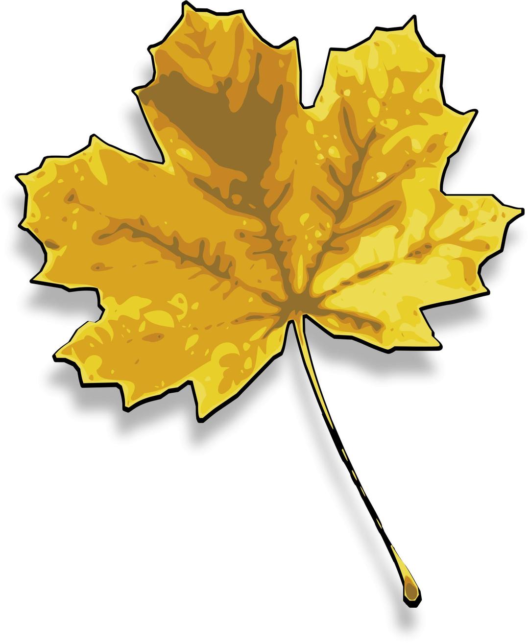 maple leaf 2 png transparent