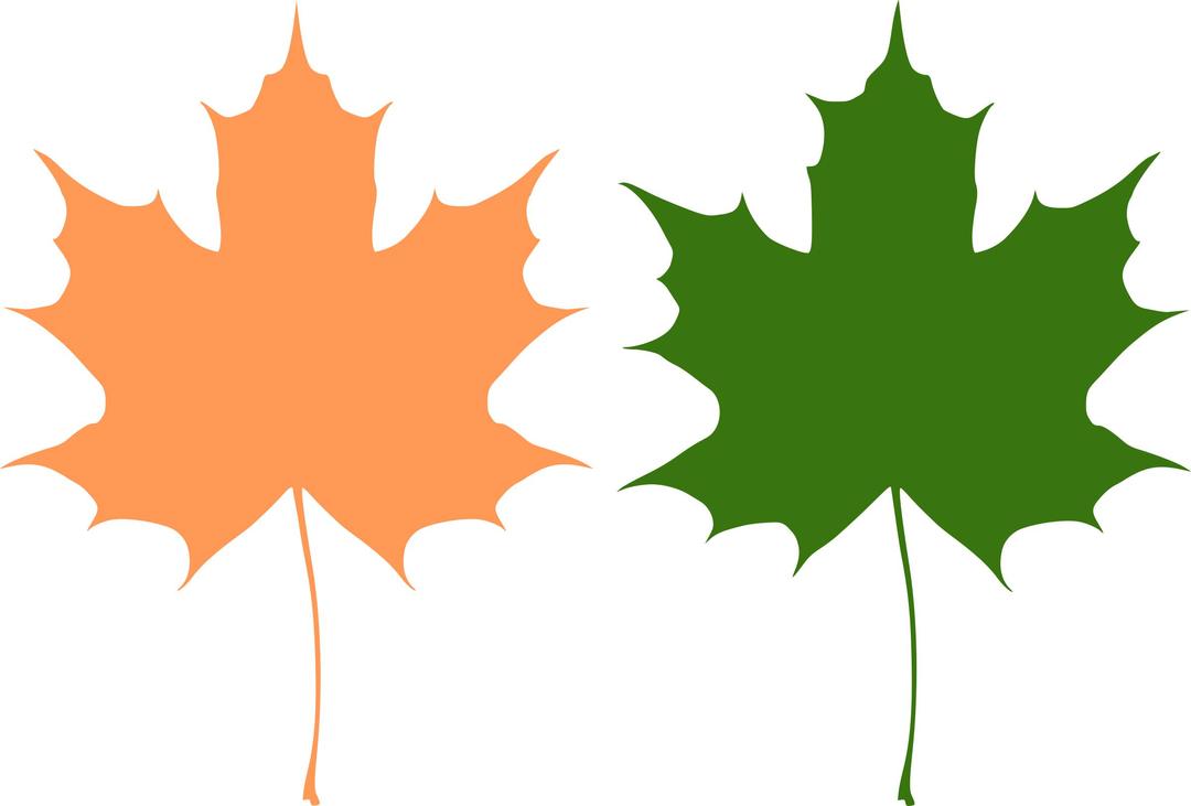 Maple leaves png transparent